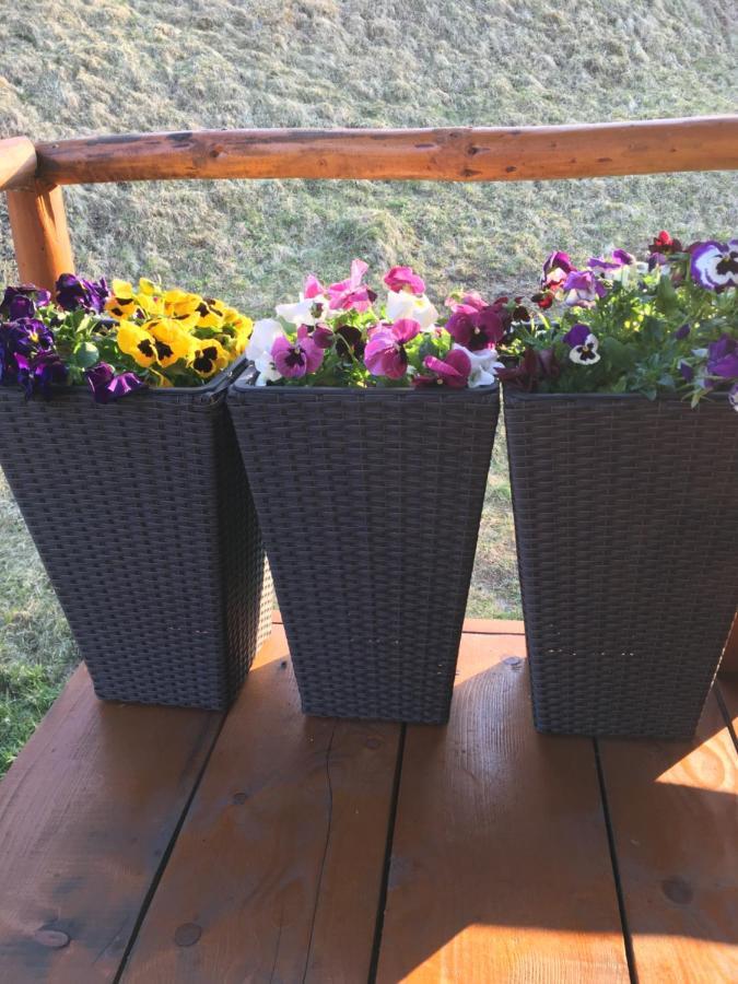Domeniul Horj Casa Din Cires Moisei Villa Dış mekan fotoğraf
