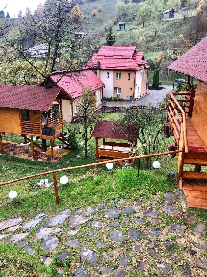 Domeniul Horj Casa Din Cires Moisei Villa Dış mekan fotoğraf