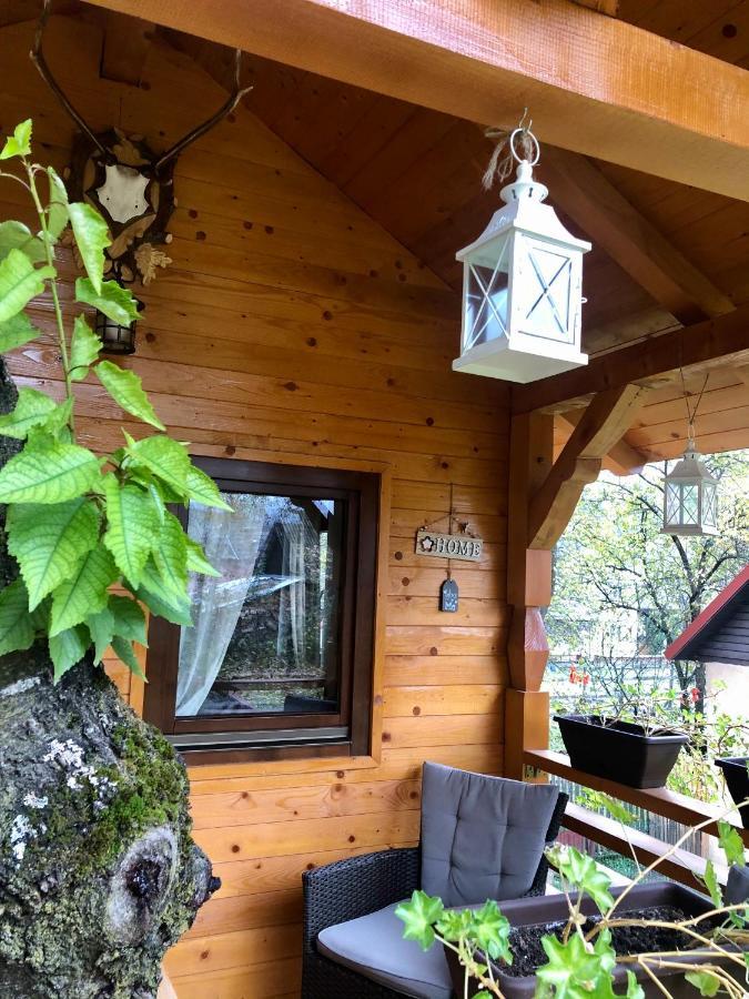 Domeniul Horj Casa Din Cires Moisei Villa Dış mekan fotoğraf