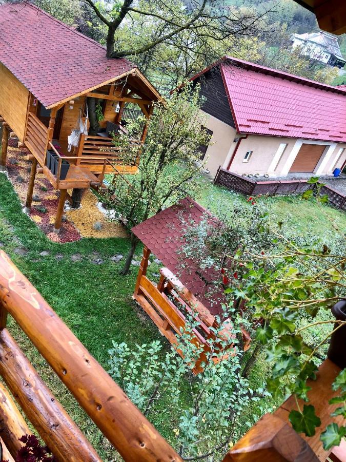 Domeniul Horj Casa Din Cires Moisei Villa Dış mekan fotoğraf