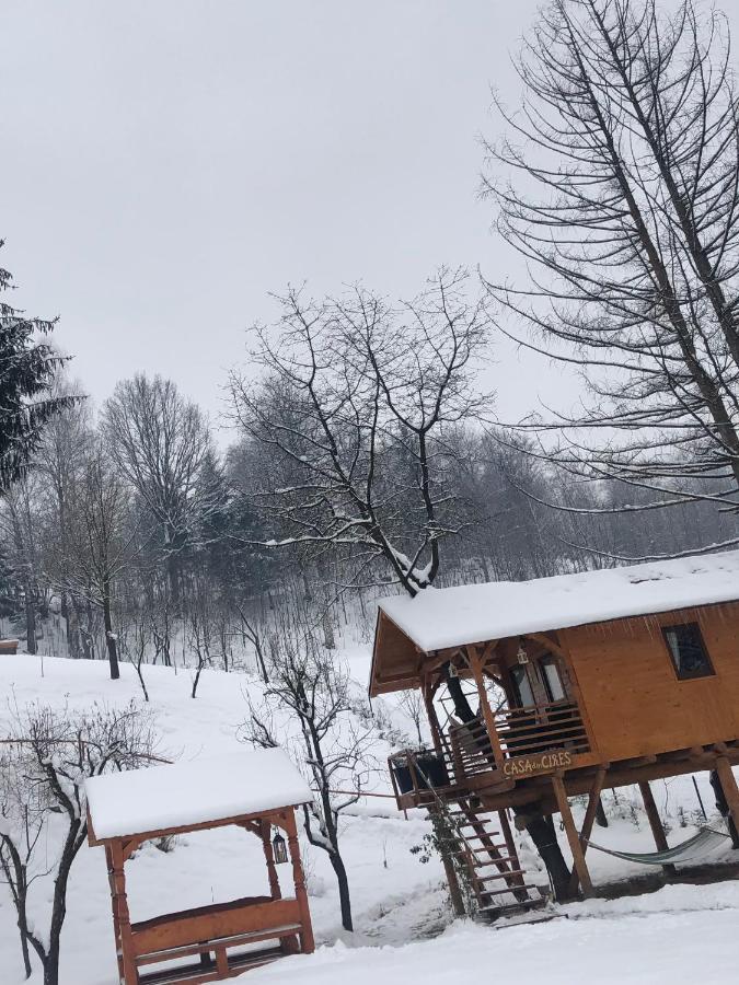 Domeniul Horj Casa Din Cires Moisei Villa Dış mekan fotoğraf