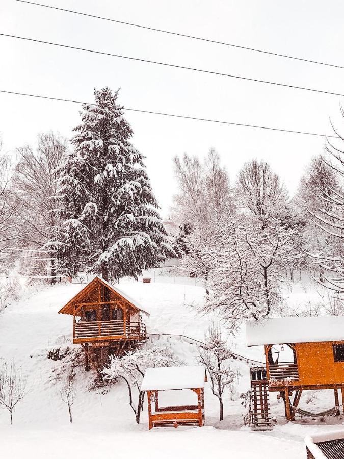 Domeniul Horj Casa Din Cires Moisei Villa Dış mekan fotoğraf