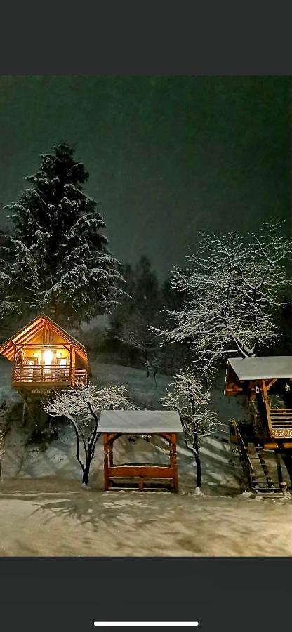 Domeniul Horj Casa Din Cires Moisei Villa Dış mekan fotoğraf