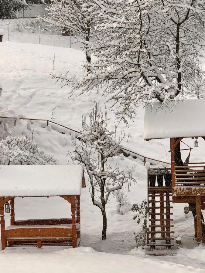 Domeniul Horj Casa Din Cires Moisei Villa Dış mekan fotoğraf