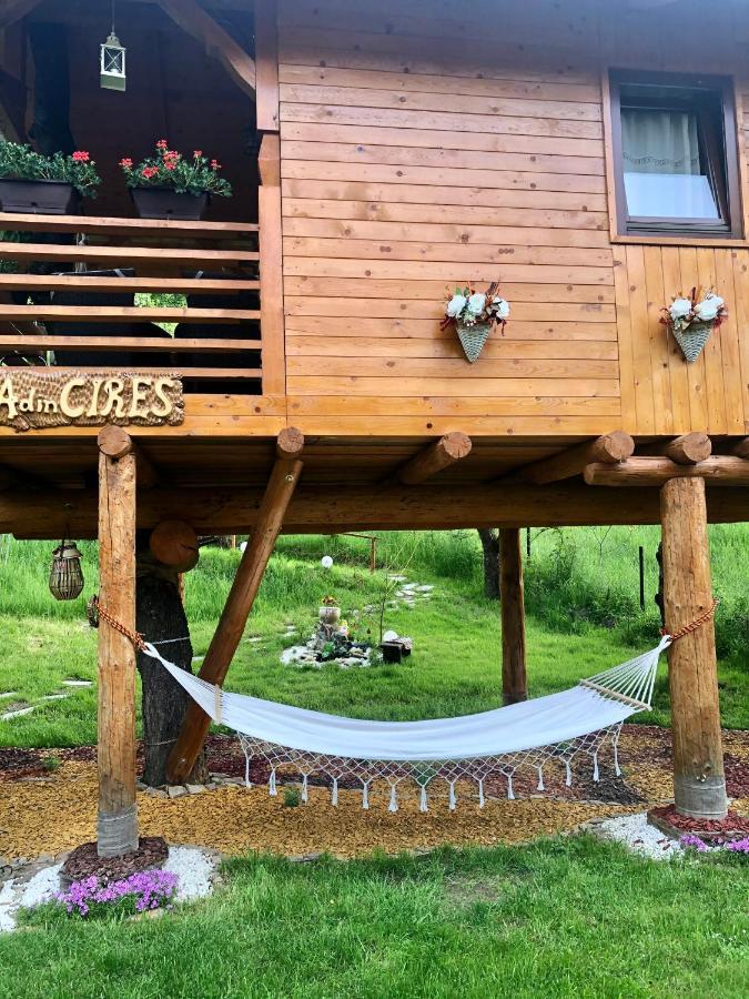 Domeniul Horj Casa Din Cires Moisei Villa Dış mekan fotoğraf