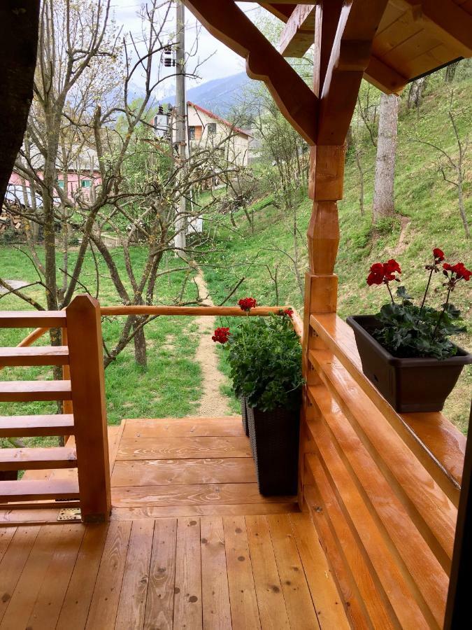 Domeniul Horj Casa Din Cires Moisei Villa Dış mekan fotoğraf