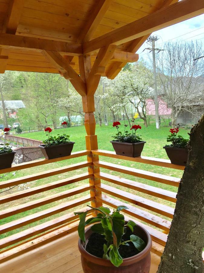 Domeniul Horj Casa Din Cires Moisei Villa Dış mekan fotoğraf
