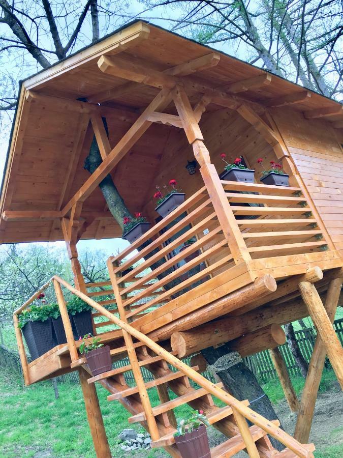Domeniul Horj Casa Din Cires Moisei Villa Dış mekan fotoğraf