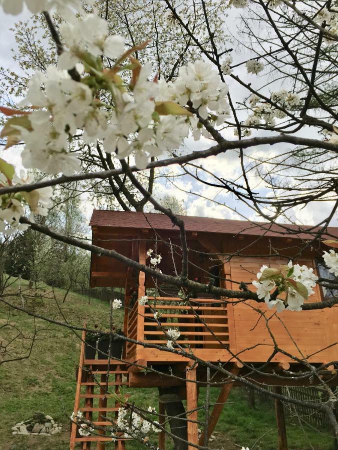 Domeniul Horj Casa Din Cires Moisei Villa Dış mekan fotoğraf