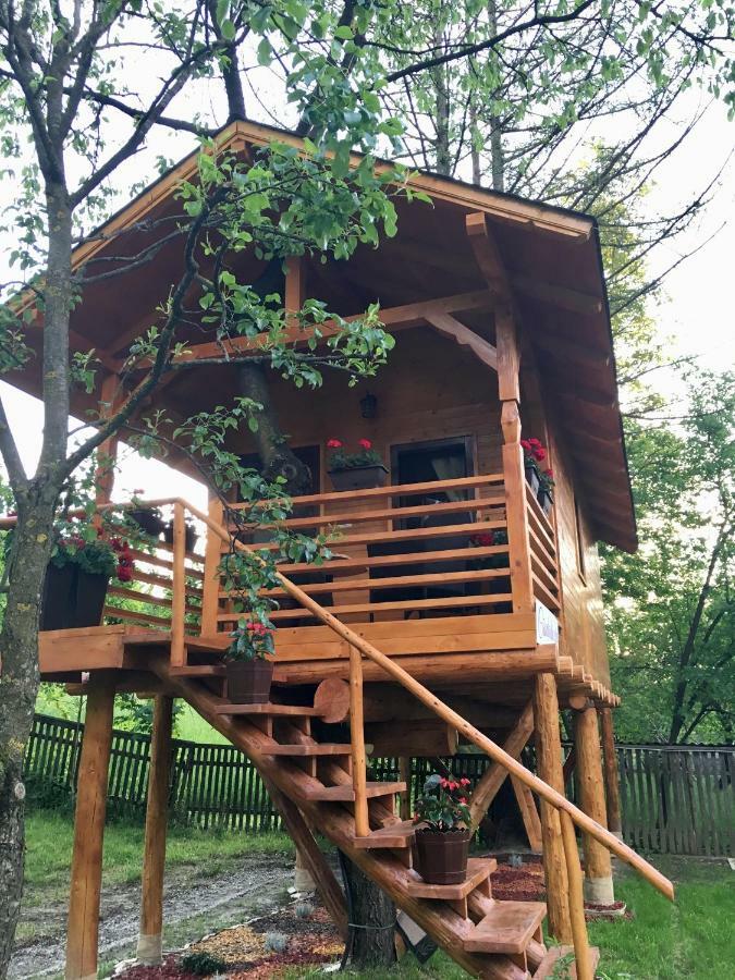 Domeniul Horj Casa Din Cires Moisei Villa Dış mekan fotoğraf