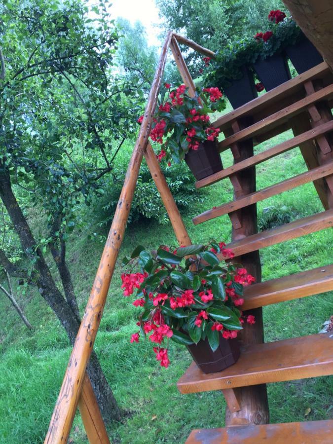 Domeniul Horj Casa Din Cires Moisei Villa Dış mekan fotoğraf